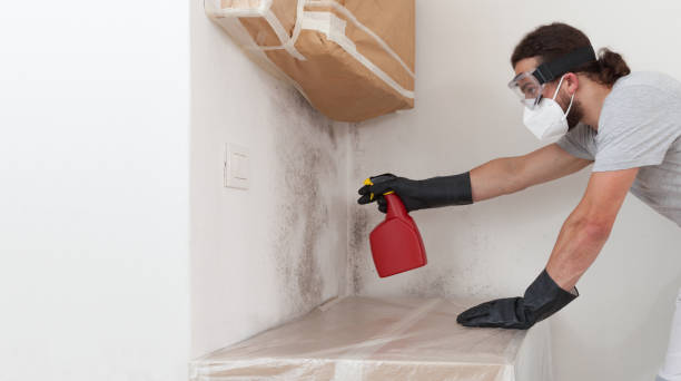 Professional Bathroom Mold Removal technician working in Clifton, IL