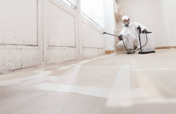 24/7 Emergency Bathroom Mold Removal experts in Clifton, IL